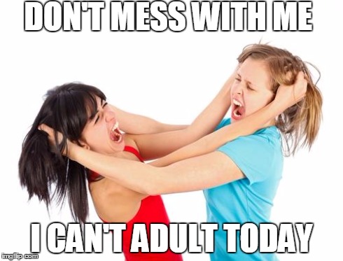 kidsfight | DON'T MESS WITH ME I CAN'T ADULT TODAY | image tagged in kidsfight | made w/ Imgflip meme maker