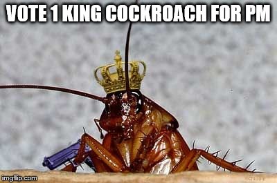Cockroach King | VOTE 1 KING COCKROACH FOR PM | image tagged in cockroach king | made w/ Imgflip meme maker