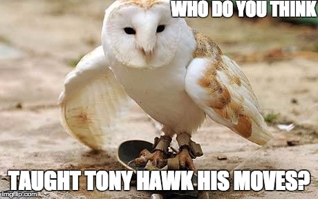 WHO DO YOU THINK TAUGHT TONY HAWK HIS MOVES? | image tagged in old school owl | made w/ Imgflip meme maker