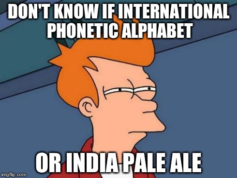 Seriously though, google IPA | DON'T KNOW IF INTERNATIONAL PHONETIC ALPHABET OR INDIA PALE ALE | image tagged in memes,futurama fry | made w/ Imgflip meme maker