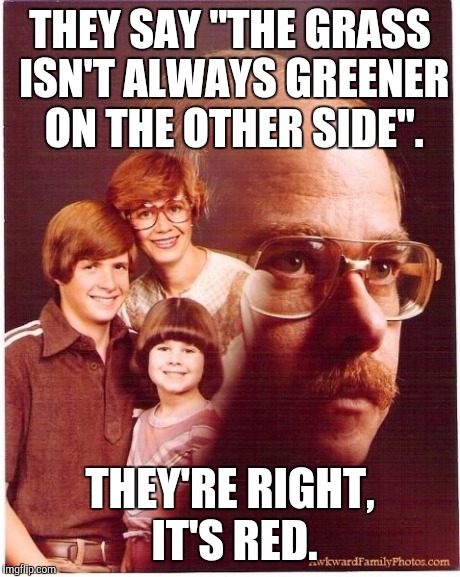 Vengeance Dad | THEY SAY "THE GRASS ISN'T ALWAYS GREENER ON THE OTHER SIDE". THEY'RE RIGHT, IT'S RED. | image tagged in memes,vengeance dad | made w/ Imgflip meme maker