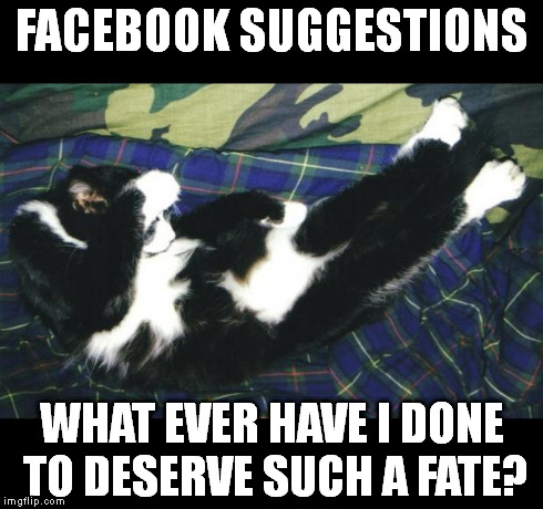 oh the humanity | FACEBOOK SUGGESTIONS WHAT EVER HAVE I DONE TO DESERVE SUCH A FATE? | image tagged in oh the humanity | made w/ Imgflip meme maker