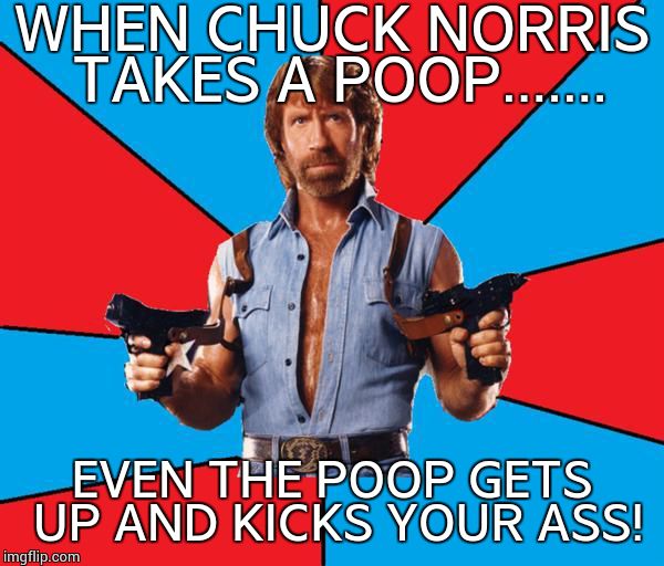 Chuck Norris With Guns | WHEN CHUCK NORRIS TAKES A POOP....... EVEN THE POOP GETS UP AND KICKS YOUR ASS! | image tagged in chuck norris | made w/ Imgflip meme maker