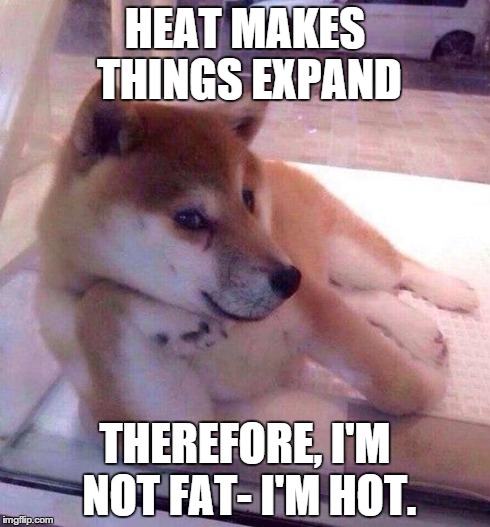 Flirting Doge | HEAT MAKES THINGS EXPAND THEREFORE, I'M NOT FAT- I'M HOT. | image tagged in flirting doge | made w/ Imgflip meme maker