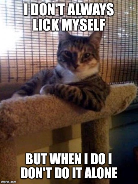 The Most Interesting Cat In The World | I DON'T ALWAYS LICK MYSELF BUT WHEN I DO I DON'T DO IT ALONE | image tagged in memes,the most interesting cat in the world | made w/ Imgflip meme maker