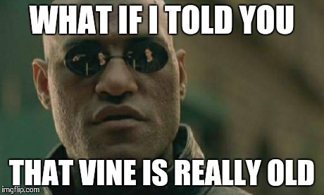 Matrix Morpheus Meme | WHAT IF I TOLD YOU THAT VINE IS REALLY OLD | image tagged in memes,matrix morpheus | made w/ Imgflip meme maker