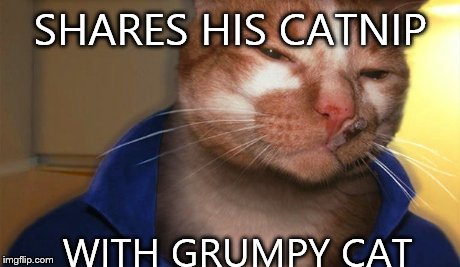 Good guy cat | SHARES HIS CATNIP WITH GRUMPY CAT | image tagged in memes,good guy greg,cats | made w/ Imgflip meme maker