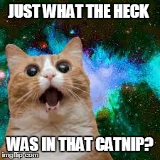 Cat in space | JUST WHAT THE HECK WAS IN THAT CATNIP? | image tagged in cat in space | made w/ Imgflip meme maker