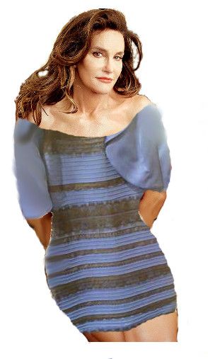 Caitlyn Jenner Blank Meme Template