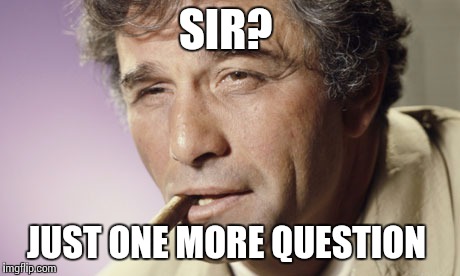 SIR? JUST ONE MORE QUESTION | image tagged in lazy college senior | made w/ Imgflip meme maker