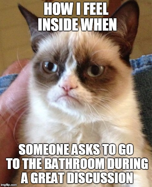 Grumpy Cat Meme | HOW I FEEL INSIDE WHEN SOMEONE ASKS TO GO TO THE BATHROOM DURING A GREAT DISCUSSION | image tagged in memes,grumpy cat | made w/ Imgflip meme maker