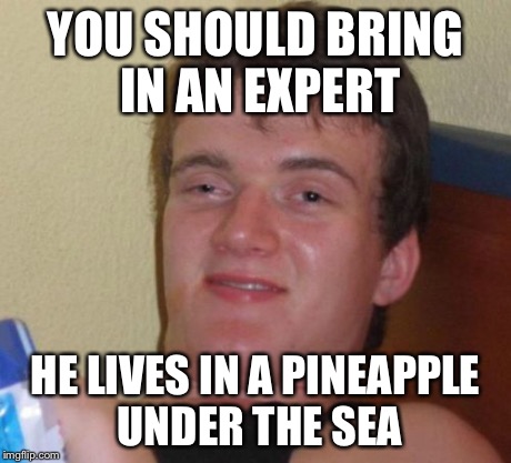 10 Guy Meme | YOU SHOULD BRING IN AN EXPERT HE LIVES IN A PINEAPPLE UNDER THE SEA | image tagged in memes,10 guy | made w/ Imgflip meme maker