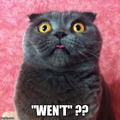 astonished cat | "WEN'T" ?? | image tagged in astonished cat | made w/ Imgflip meme maker