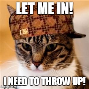 Scumbag Cat | LET ME IN! I NEED TO THROW UP! | image tagged in scumbag cat,AdviceAnimals | made w/ Imgflip meme maker