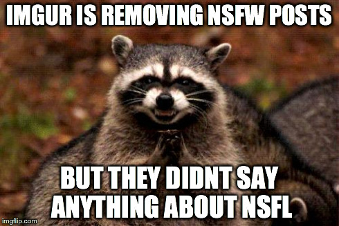 Evil Plotting Raccoon | IMGUR IS REMOVING NSFW POSTS BUT THEY DIDNT SAY ANYTHING ABOUT NSFL | image tagged in memes,evil plotting raccoon | made w/ Imgflip meme maker