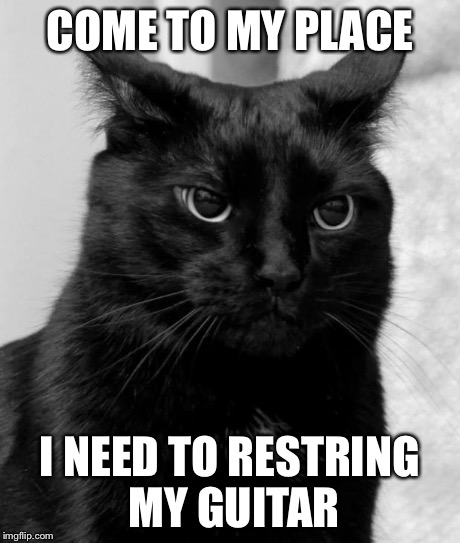 pissed cat | COME TO MY PLACE I NEED TO RESTRING MY GUITAR | image tagged in pissed cat | made w/ Imgflip meme maker