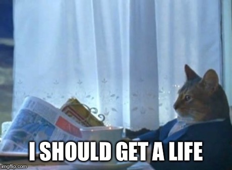 Been spending alot of time on imgflip  | I SHOULD GET A LIFE | image tagged in memes,i should buy a boat cat | made w/ Imgflip meme maker