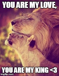 Love is | YOU ARE MY LOVE, YOU ARE MY KING <3 | image tagged in love,queen,king,pride,devotion | made w/ Imgflip meme maker