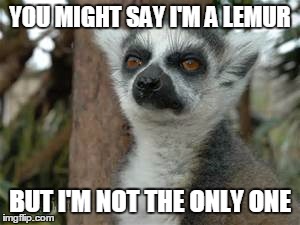 Imagine Lemur | YOU MIGHT SAY I'M A LEMUR BUT I'M NOT THE ONLY ONE | image tagged in lemur,john lennon,music,imagine | made w/ Imgflip meme maker