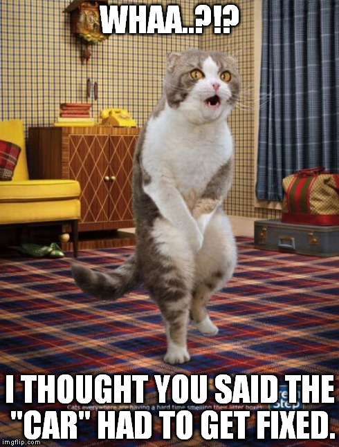 Gotta Go Cat Meme | WHAA..?!? I THOUGHT YOU SAID THE "CAR" HAD TO GET FIXED. | image tagged in memes,gotta go cat | made w/ Imgflip meme maker