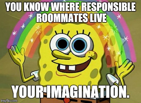 Imagination Spongebob Meme | YOU KNOW WHERE RESPONSIBLE ROOMMATES LIVE YOUR IMAGINATION. | image tagged in memes,imagination spongebob | made w/ Imgflip meme maker