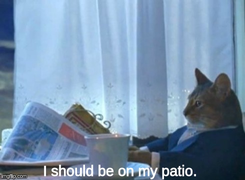 I Should Buy A Boat Cat | I should be on my patio. | image tagged in memes,i should buy a boat cat | made w/ Imgflip meme maker