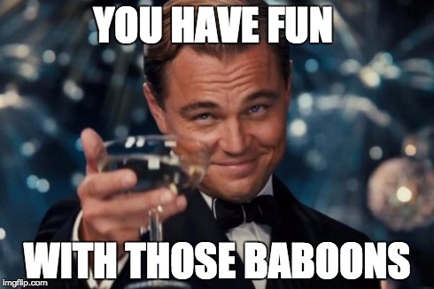 Leonardo Dicaprio Cheers Meme | YOU HAVE FUN WITH THOSE BABOONS | image tagged in memes,leonardo dicaprio cheers | made w/ Imgflip meme maker