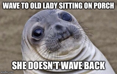 Awkward Moment Sealion | WAVE TO OLD LADY SITTING ON PORCH SHE DOESN'T WAVE BACK | image tagged in memes,awkward moment sealion | made w/ Imgflip meme maker