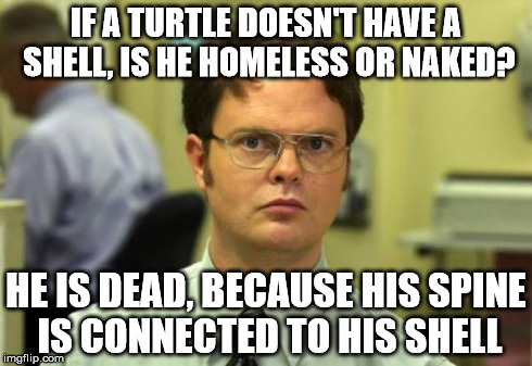 Dwight Schrute | IF A TURTLE DOESN'T HAVE A SHELL, IS HE HOMELESS OR NAKED? HE IS DEAD, BECAUSE HIS SPINE IS CONNECTED TO HIS SHELL | image tagged in memes,dwight schrute | made w/ Imgflip meme maker