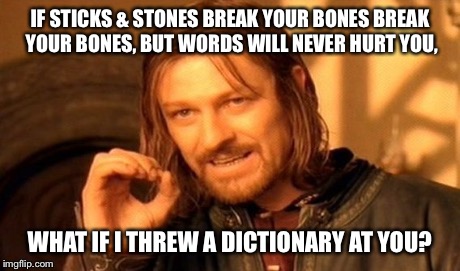 One Does Not Simply | IF STICKS & STONES BREAK YOUR BONES BREAK YOUR BONES, BUT WORDS WILL NEVER HURT YOU, WHAT IF I THREW A DICTIONARY AT YOU? | image tagged in memes,one does not simply | made w/ Imgflip meme maker