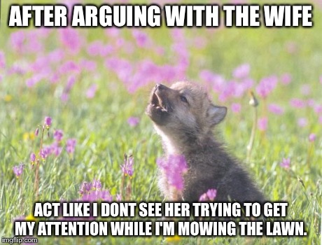 Baby Insanity Wolf Meme | AFTER ARGUING WITH THE WIFE ACT LIKE I DONT SEE HER TRYING TO GET MY ATTENTION WHILE I'M MOWING THE LAWN. | image tagged in memes,baby insanity wolf,AdviceAnimals | made w/ Imgflip meme maker
