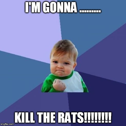 Success Kid Meme | I'M GONNA ......... KILL THE RATS!!!!!!!! | image tagged in memes,success kid | made w/ Imgflip meme maker