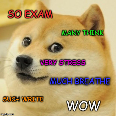 Doge | SO EXAM MANY THINK SUCH WRITE VERY STRESS MUCH BREATHE WOW | image tagged in memes,doge | made w/ Imgflip meme maker