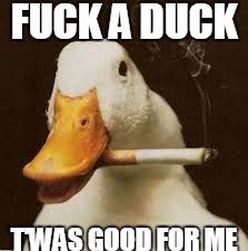 Fuck a duck | F**K A DUCK T'WAS GOOD FOR ME | image tagged in aflac duck,funny | made w/ Imgflip meme maker