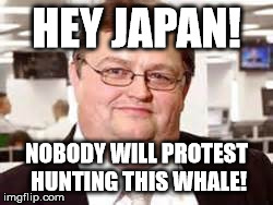 The real whale of Wall Street.  Jonah Hill is an actor. | HEY JAPAN! NOBODY WILL PROTEST HUNTING THIS WHALE! | image tagged in memes | made w/ Imgflip meme maker