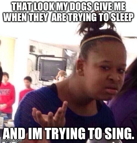 Black Girl Wat | THAT LOOK MY DOGS GIVE ME WHEN THEY  ARE TRYING TO SLEEP AND IM TRYING TO SING. | image tagged in memes,black girl wat | made w/ Imgflip meme maker