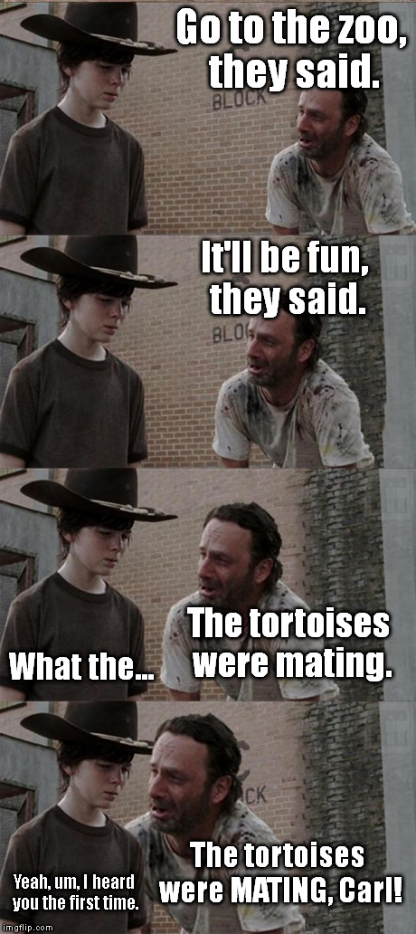 True story. (I'm making the Poker Face right now.) (:|) | Go to the zoo, they said. It'll be fun, they said. The tortoises were mating. What the... The tortoises were MATING, Carl! Yeah, um, I heard | image tagged in memes,rick and carl long | made w/ Imgflip meme maker