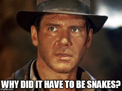Indiana Jones | WHY DID IT HAVE TO BE SNAKES? | image tagged in indiana jones | made w/ Imgflip meme maker