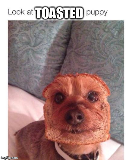 TOASTED | made w/ Imgflip meme maker