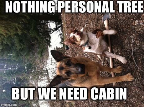 NOTHING PERSONAL TREE BUT WE NEED CABIN | image tagged in lol dog camping,scumbag | made w/ Imgflip meme maker