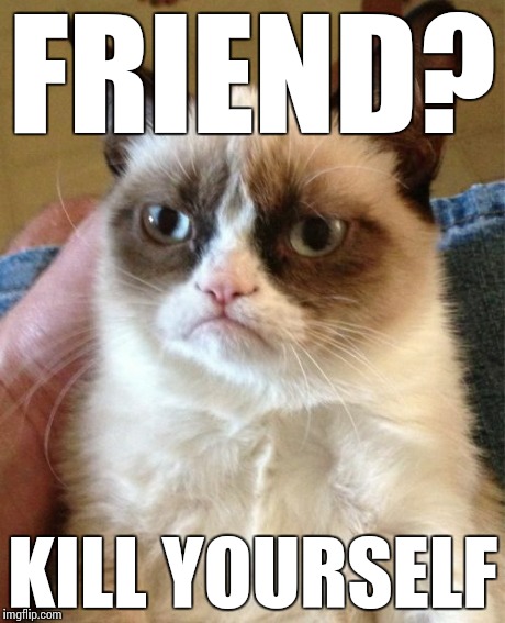 Grumpy Cat Meme | FRIEND? KILL YOURSELF | image tagged in memes,grumpy cat | made w/ Imgflip meme maker