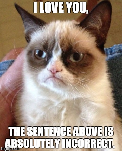 Grumpy Cat Meme | I LOVE YOU, THE SENTENCE ABOVE IS ABSOLUTELY INCORRECT. | image tagged in memes,grumpy cat | made w/ Imgflip meme maker
