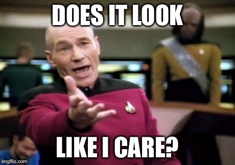 Picard Wtf Meme | DOES IT LOOK LIKE I CARE? | image tagged in memes,picard wtf | made w/ Imgflip meme maker