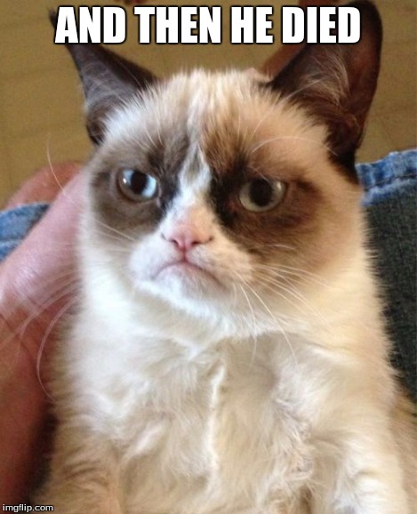 Grumpy Cat Meme | AND THEN HE DIED | image tagged in memes,grumpy cat | made w/ Imgflip meme maker