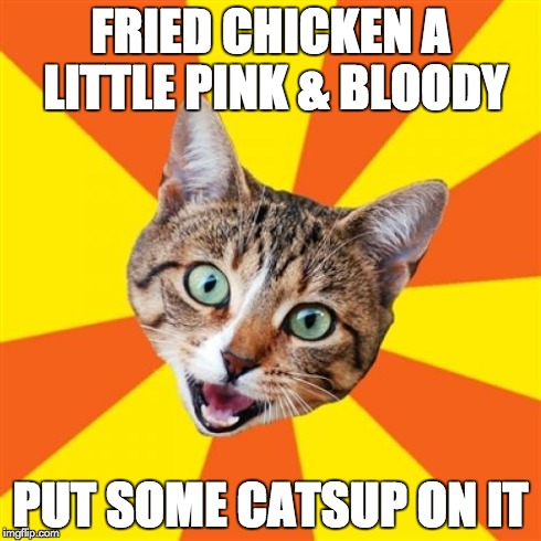 Bad Advice Cat | FRIED CHICKEN A LITTLE PINK & BLOODY PUT SOME CATSUP ON IT | image tagged in memes,bad advice cat | made w/ Imgflip meme maker