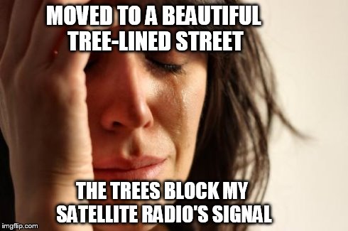 First World Problems Meme | MOVED TO A BEAUTIFUL TREE-LINED STREET THE TREES BLOCK MY SATELLITE RADIO'S SIGNAL | image tagged in memes,first world problems | made w/ Imgflip meme maker