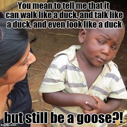 Third World Skeptical Kid Meme | You mean to tell me that it can walk like a duck, and talk like a duck, and even look like a duck but still be a goose?! | image tagged in memes,third world skeptical kid | made w/ Imgflip meme maker