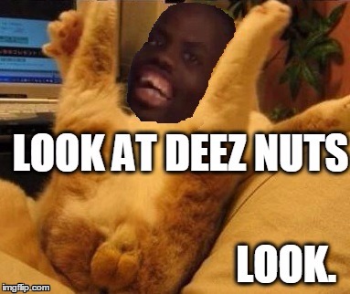 Look at deez nuts. Look. | image tagged in deez nuts,deez nutz | made w/ Imgflip meme maker