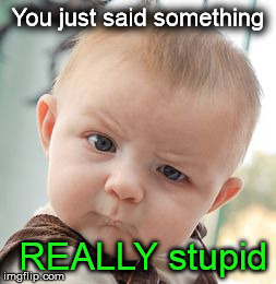 Skeptical Baby | You just said something REALLY stupid | image tagged in memes,skeptical baby | made w/ Imgflip meme maker