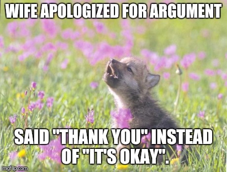 Baby Insanity Wolf Meme | WIFE APOLOGIZED FOR ARGUMENT SAID "THANK YOU" INSTEAD OF "IT'S OKAY". | image tagged in memes,baby insanity wolf,AdviceAnimals | made w/ Imgflip meme maker
